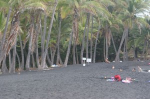 Palms at Punalu'u