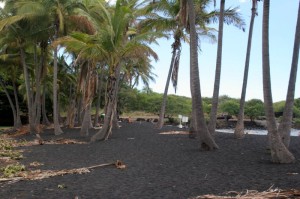 Punalu'u Beach 