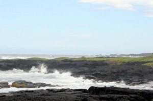 Punalu'u beach 