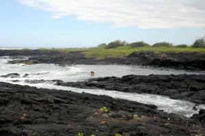 Punalu'u beach 