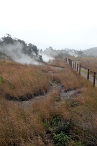 Steaming ground 