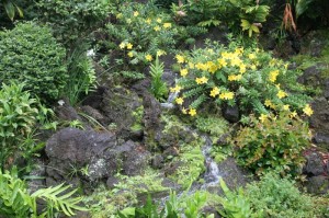 Garden at the Punalu'u Bakeshop 