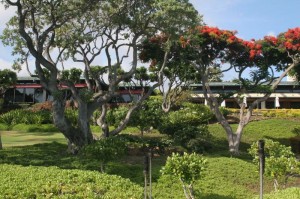 Muana Kea hotel