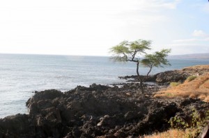 Coast hike