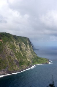 Waipio coast 