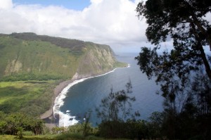 Waipio coast 