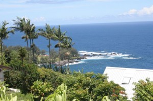 Coast north of Hilo 