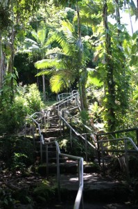 Rainbow Falls stairs 