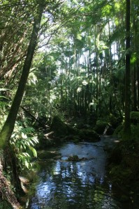 Botanical Gardens