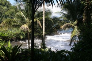 Botanical Gardens - Onomea Bay