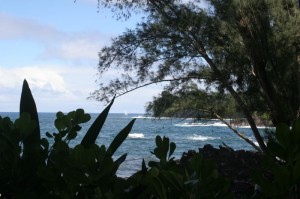 Botanical Gardens - Onomea Bay