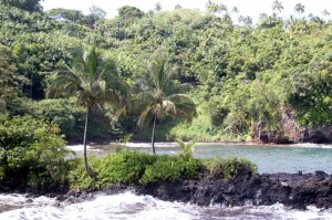 Botanical Gardens - Onomea Bay