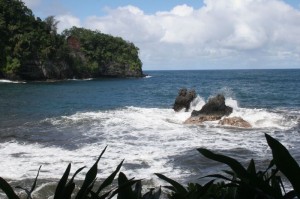 Twin Rocks - Onomea Bay