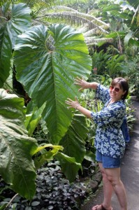 Marion at the Botanical Gardens