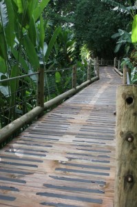 The (very steep) path out of the garden 