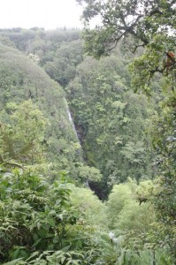 Kahuna Falls (400 ft)