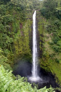 Akaka Falls (422 ft) 