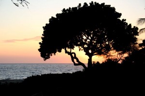 Sunset at Hapuna Beach