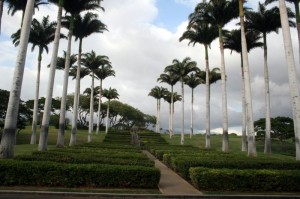 View from the back of the hotel