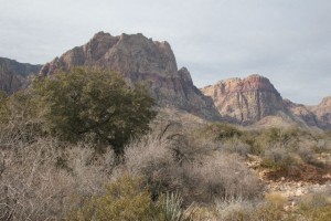 Red Rock Canyon