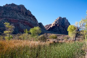 Spring Mountain Ranch