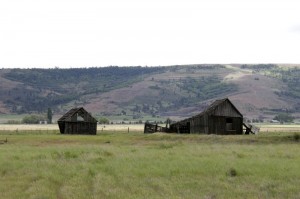 Little house(s) on the prairie