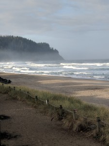 Neskowin Beach (MAK)