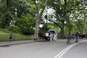 Horse drawn carriage