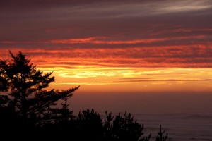 Newport Oregon - Nov 2019