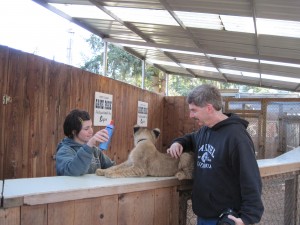 Bart pets the lion cub