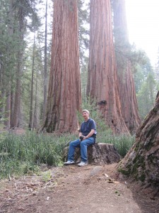 Bart in the Redwoods