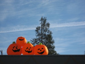 Jack o' lanterns