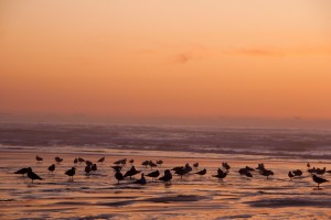 Bandon Beach sunset