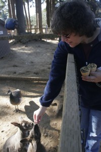 Marion feeds the wallabies