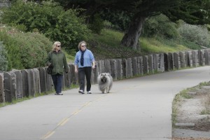 Taking their pillow for a walk