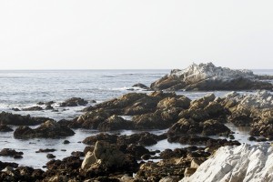 Asilomar Beach