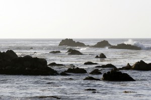 Asilomar Beach