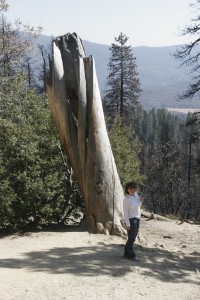 Marion at Yosemite