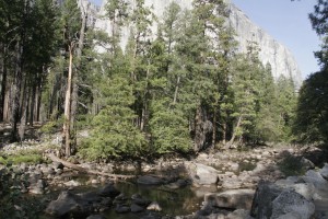 Yosemite valley