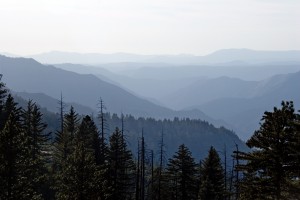 Hills in the mist