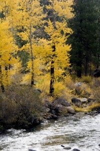 Truckee River