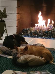 Reggie and Tito Puente enjoy the fire