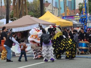 Dragons at the Lunar Festival