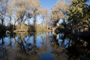 A still lake