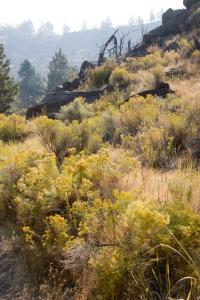 Smith Rock State Park