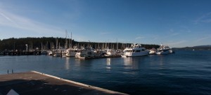 Friday Harbor