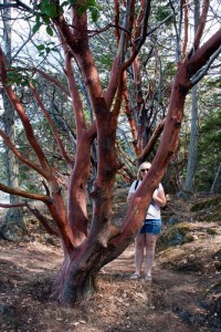 Marion and the madrona tree