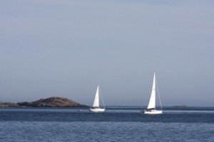 Sailboats