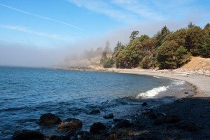 The fog rolls in at Deadman's Cove