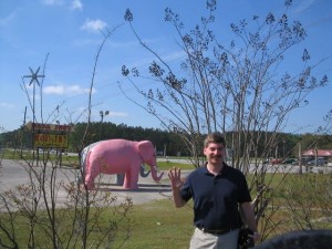 Bart and the pink elephant